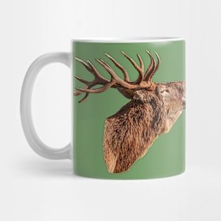 Red Deer Head in colour Mug